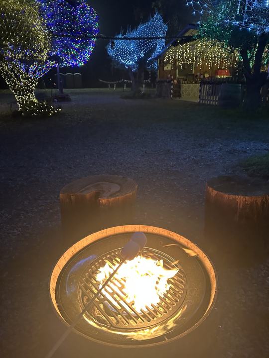 Fire Pit & S’mores