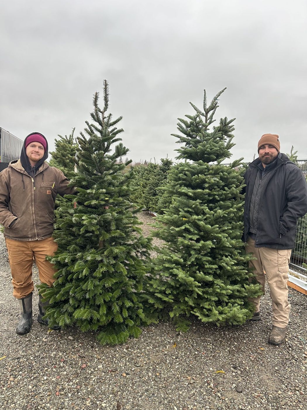 The two friends behind Country Christmas standing beside fresh-cut Noble and Douglas fir trees